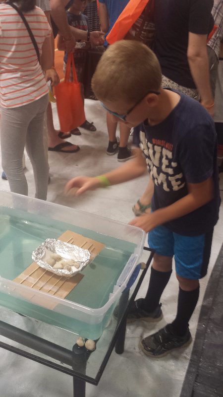 Children floating rocks in water.