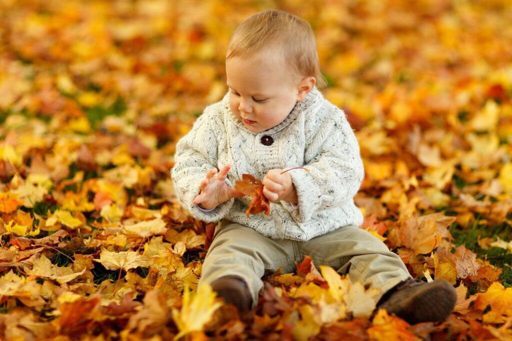 Little boy playing in fall leaves