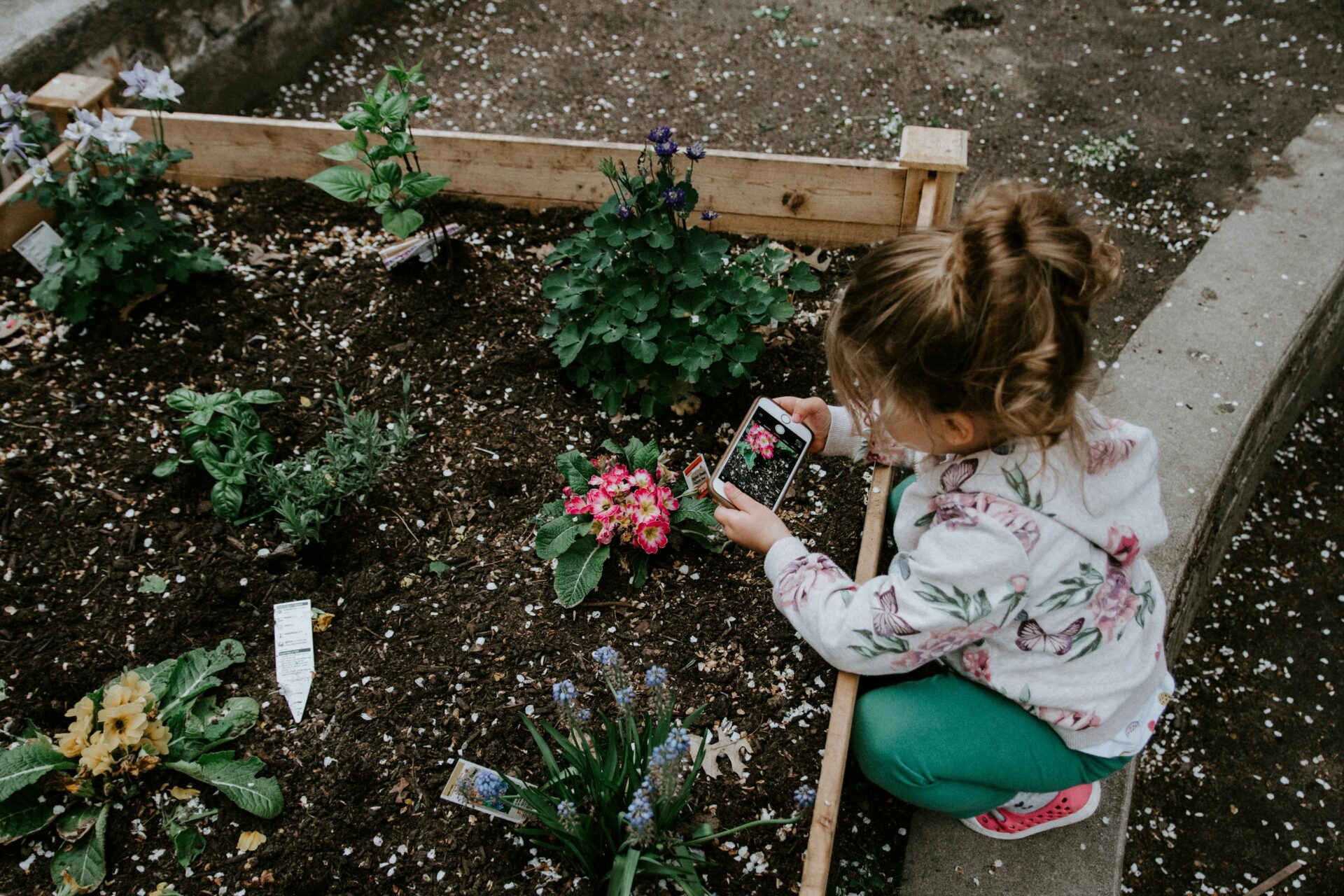 Seeds for Success: How Gardening Boosts Early Childhood Development