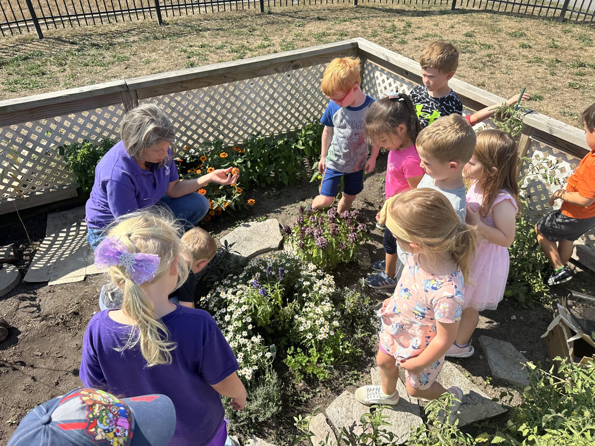 Ms. Racheal showing students what has grown in the garden