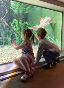 A Reggio Emilia lesson at the Toledo Zoo & Aquarium